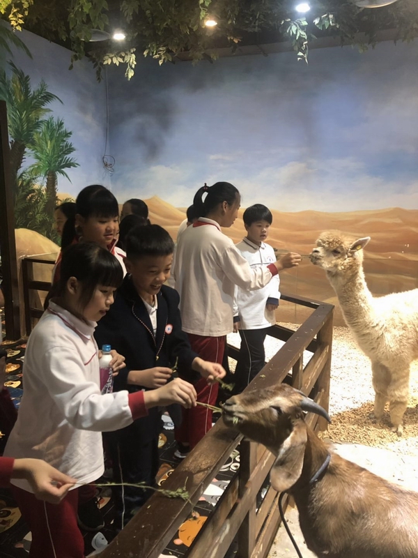 萌宠乐园22.jpg