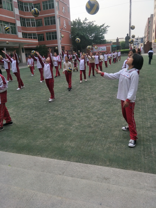 微信图片_20190329090031.jpg