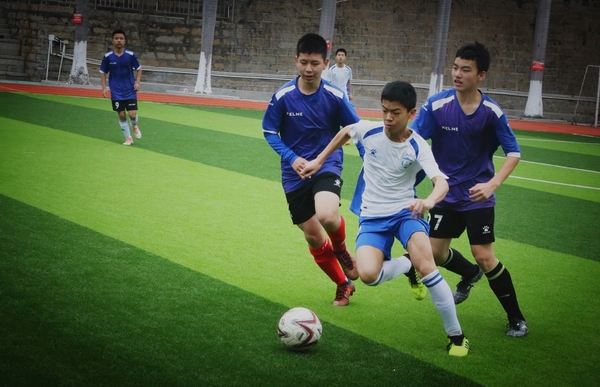 微信图片_20190326211827.jpg