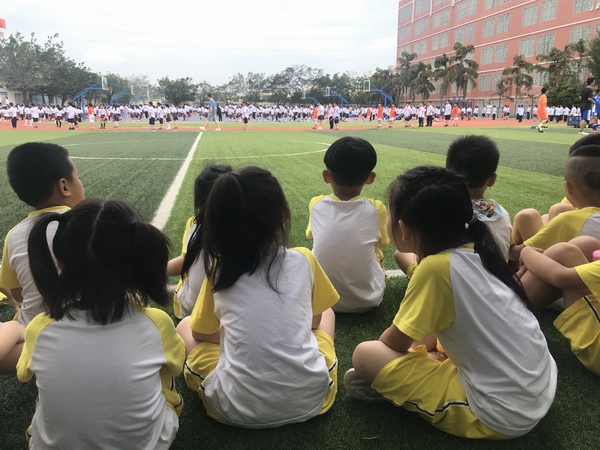 微信图片_20190606125346.jpg