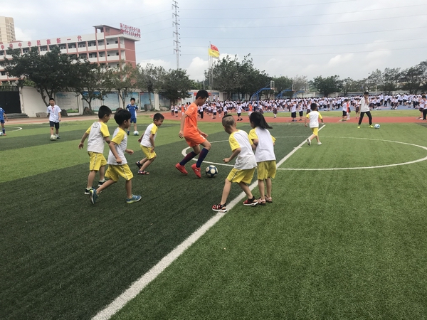微信图片_20190606125340.jpg