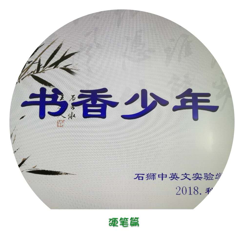 书香少年. 书写精彩人生