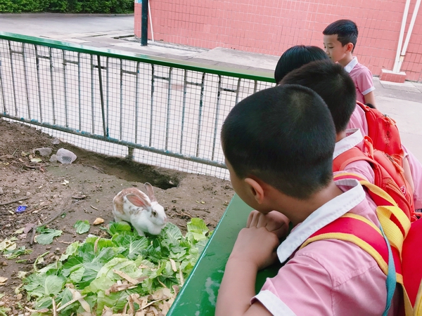 微信图片_20190610151208.jpg