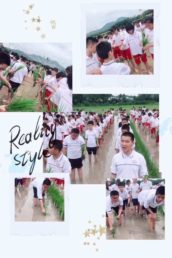 微信图片_20190508204537.jpg