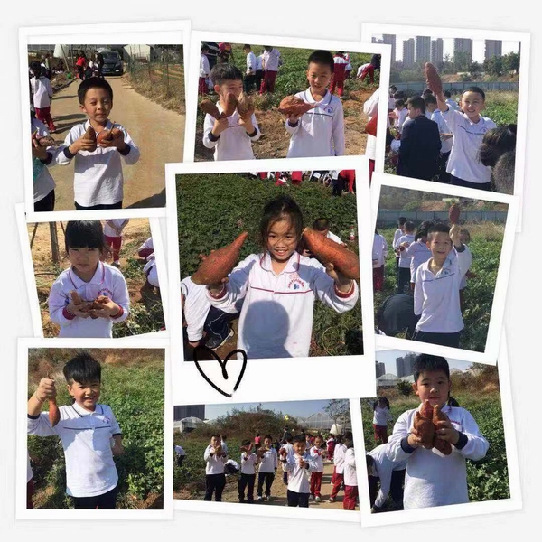 微信图片_20191115152314.jpg