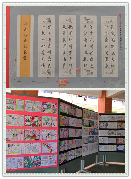 未命名8.png